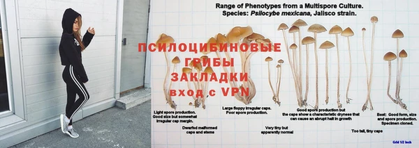 mdpv Богородск