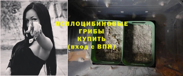 амф Богданович