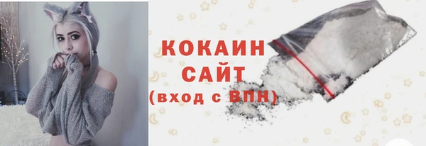 mdpv Богородск