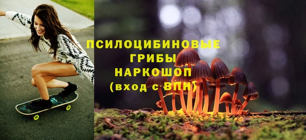 mdpv Богородск