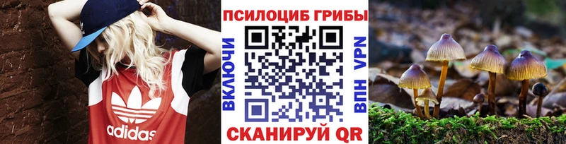 Купить  Бронницы  Псилоцибиновые грибы прущие грибы 